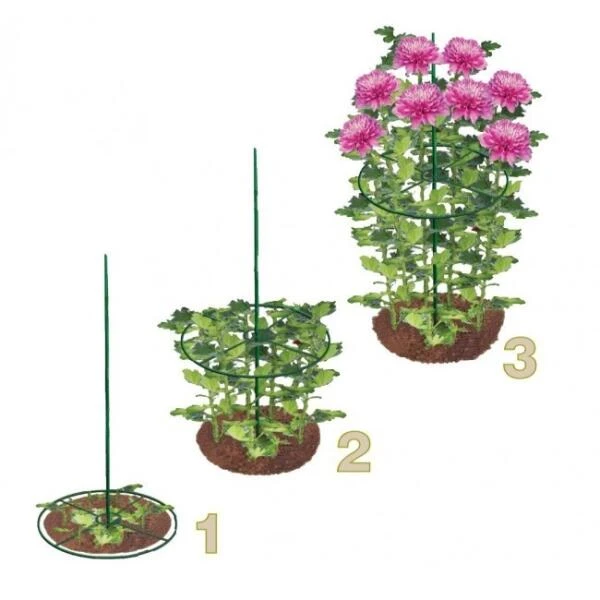 Steunringen Voor Planten Ø 30 Cm - Kunststof - Set Van 2 Stuks 1 Steunringen Voor Planten Ø 30 Cm - Kunststof - Set Van 2 Stuks
