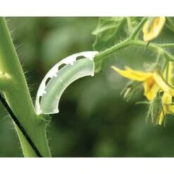 Tomaten Trossteun Wit - Set Van 100 Stuks -Goedkope Kruiden Zaden Winkel tomatentrossteunen 1484056718 2 600