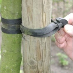 Tree-fix Boombinder 30 Cm/15 Mm - Set Van 10 Stuks -Goedkope Kruiden Zaden Winkel treefix boombinder 30 cm15 mm 1547129682 1 600