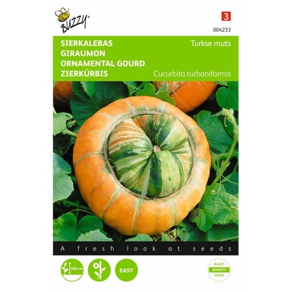 Turkse Muts - Cucurbita Maxima Turbaniformis 1 Turkse Muts - Cucurbita Maxima Turbaniformis