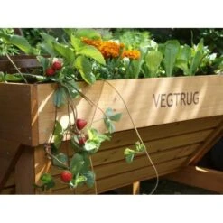 Vegtrug Verhoogde Kweektafel - 1 × 0,8 × 0,8 M -Goedkope Kruiden Zaden Winkel vegtrug 1 m 1484054491 4 600