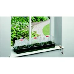 Vensterbankkas Propagator 3-delig 5 Vensterbankkas Propagator 3-delig -Goedkope Kruiden Zaden Winkel vensterbankkas 3 delen 1484055463 1 600