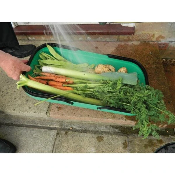 Verzamelmand - Groente En Fruit 4 Verzamelmand - Groente En Fruit - Afbeelding 4