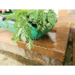 Verzamelmand - Groente En Fruit 10 Verzamelmand - Groente En Fruit -Goedkope Kruiden Zaden Winkel verzamelmand groente en fruit 1511169935 4 600