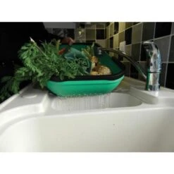 Verzamelmand - Groente En Fruit 11 Verzamelmand - Groente En Fruit -Goedkope Kruiden Zaden Winkel verzamelmand groente en fruit 1511169935 5 600