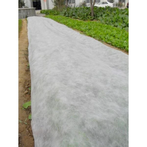 Rol Vliesdoek 2 × 100 M - 19 G/m² 1 Rol Vliesdoek 2 × 100 M - 19 G/m²