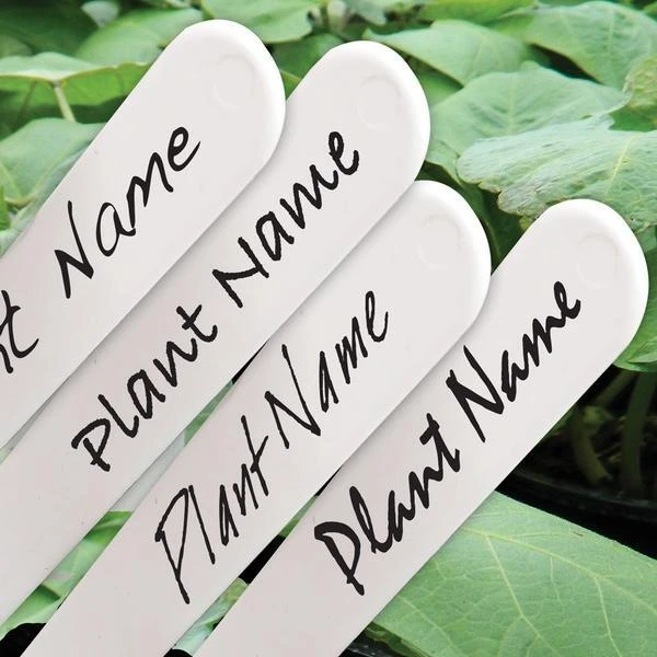 Waterbestendige Stift Zwart Voor Plantenlabels 1 Waterbestendige Stift Zwart Voor Plantenlabels