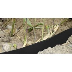 Professionele Wortelbegrenzer H 70 Cm - / Strekkende Meter 3 Professionele Wortelbegrenzer H 70 Cm - / Strekkende Meter -Goedkope Kruiden Zaden Winkel wortelbegrenzer professioneel 420gm 1484062387 2 600